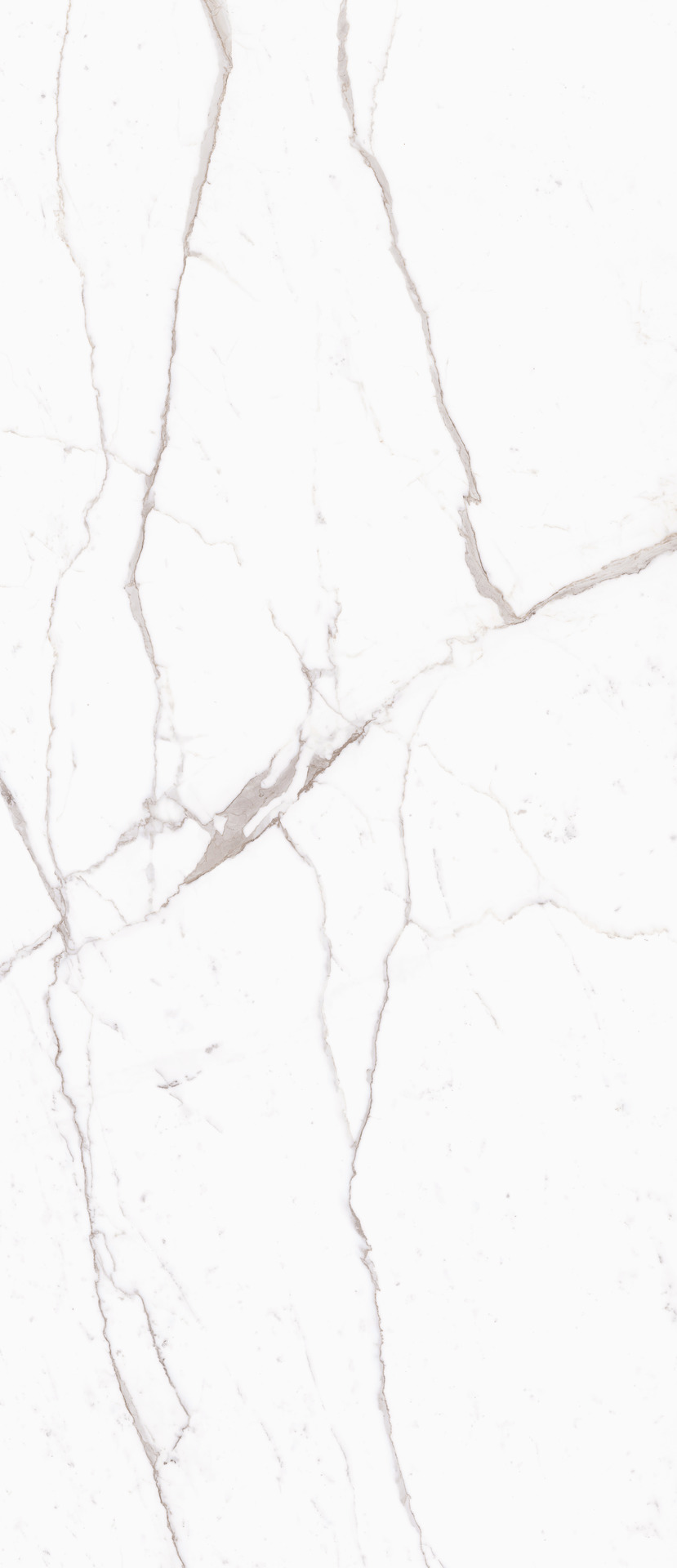 Ragno Incanto - Incanto – R8RE 120.00x120.00cm-main-image