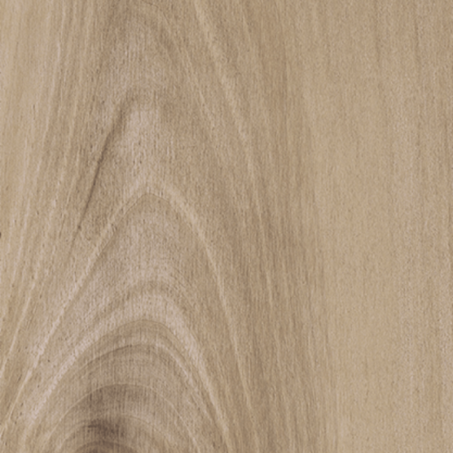 HONEY WOOD NOCE 24X240X0,6 CM NATURALE-main-image