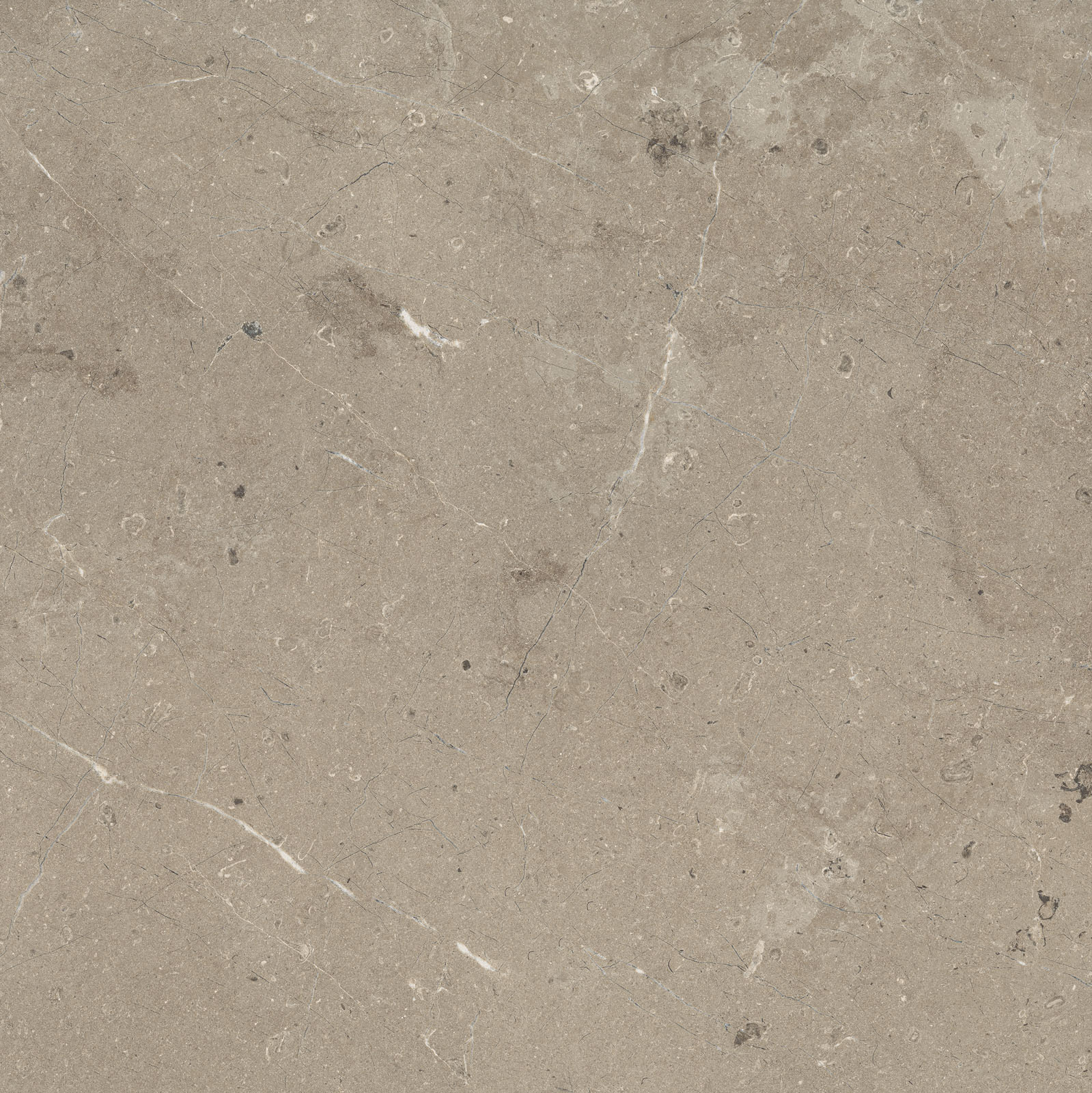Mystone Limestone – M7E5 120.00x120.00cm-main-image