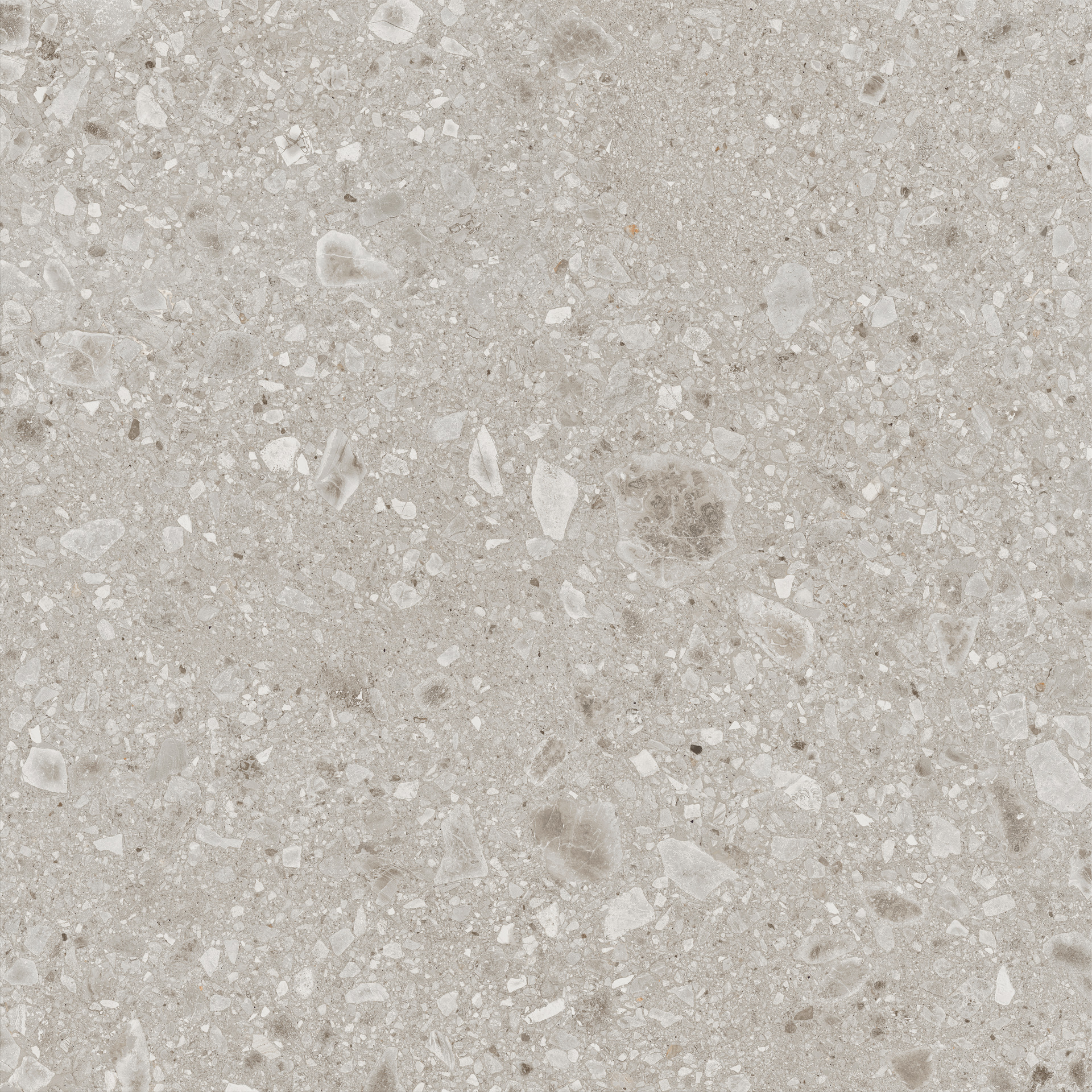Ragno Realstone_Ceppo  - Realstone_Ceppo – RCWP 60.00x60.00cm-main-image