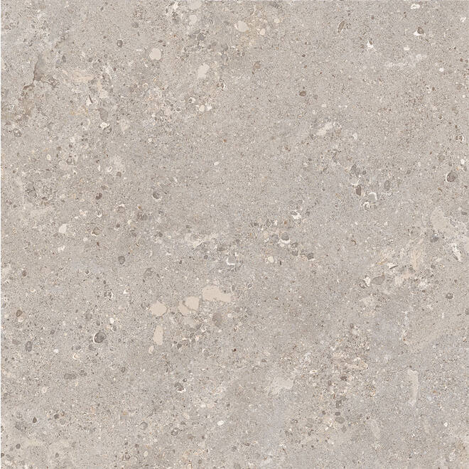 OMNIA DEVIX GREIGE 120X120X2 CM STRUCTURED R11-main-image