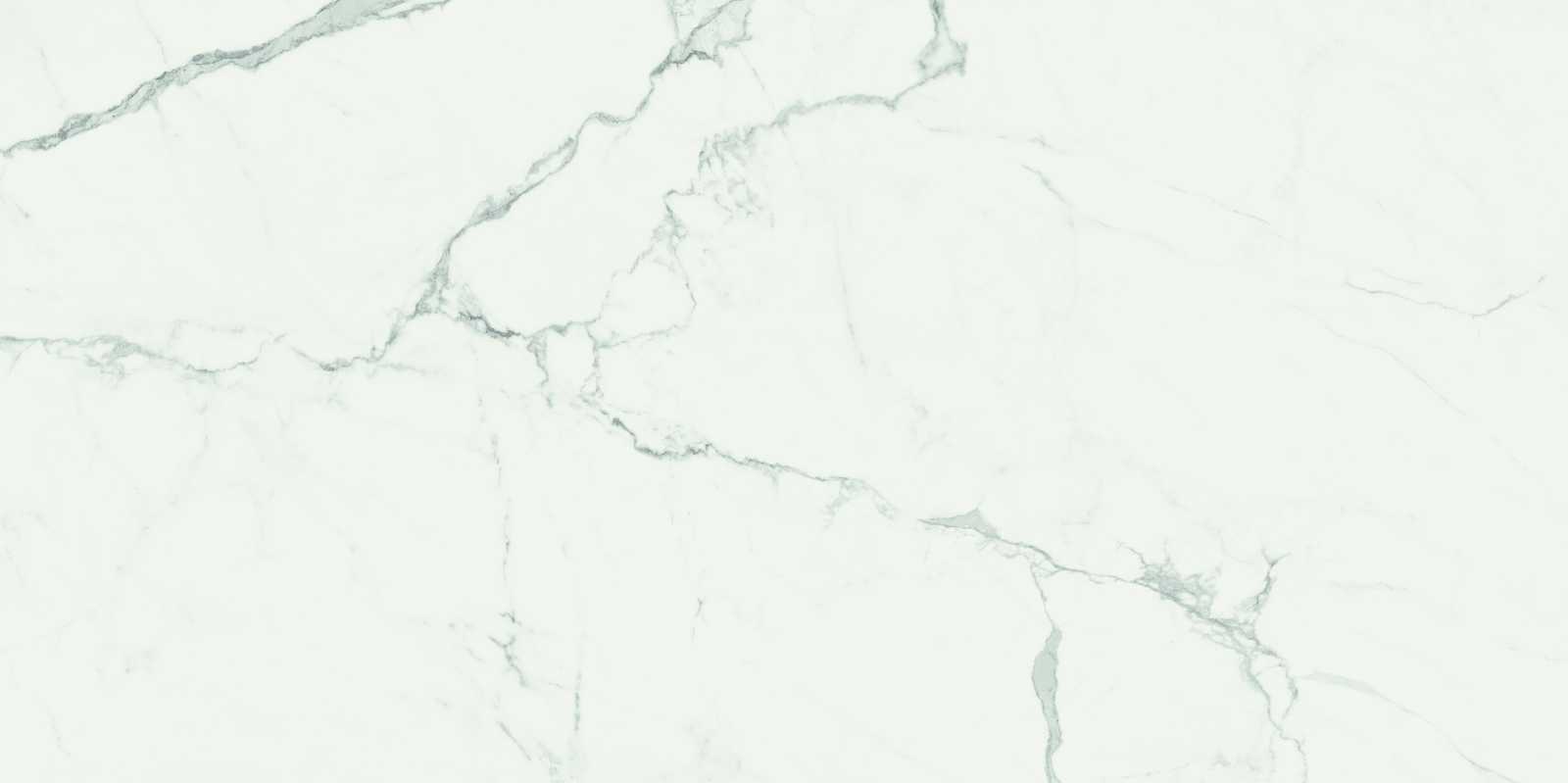 Ragno Imperiale - Imperiale – R72G 116.00x58.00cm-main-image