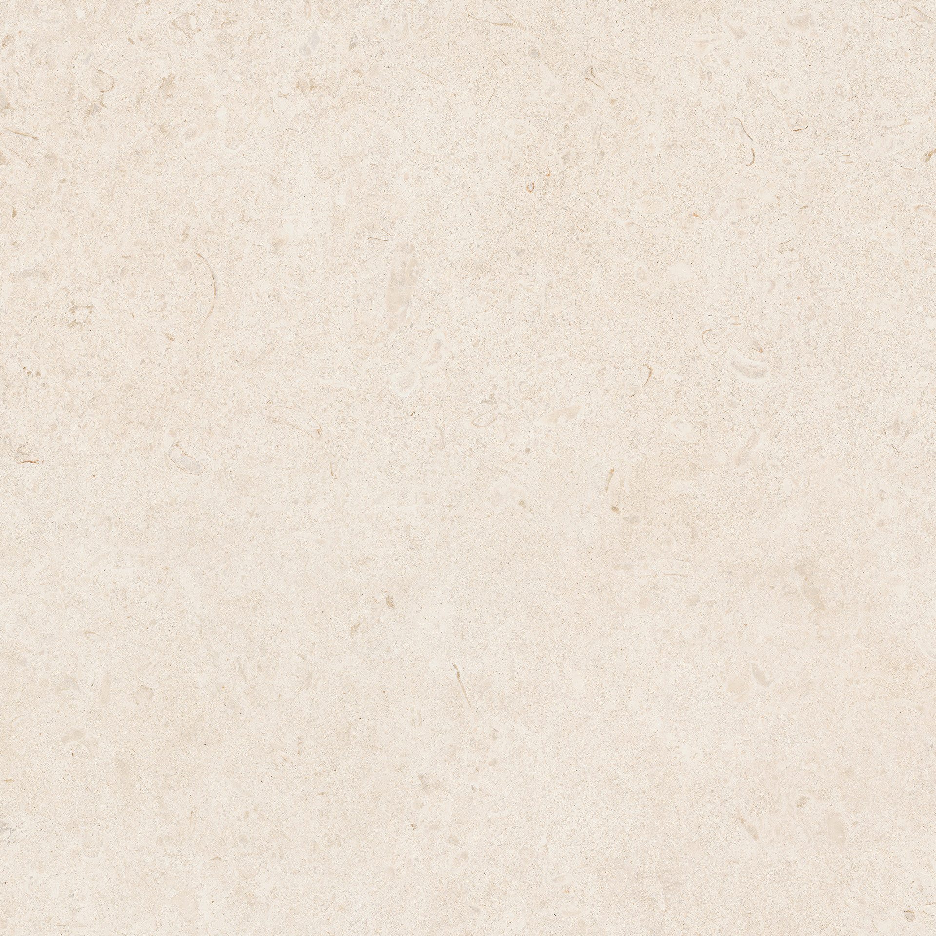 Carácter – MDAS 60.00x30.00cm-main-image