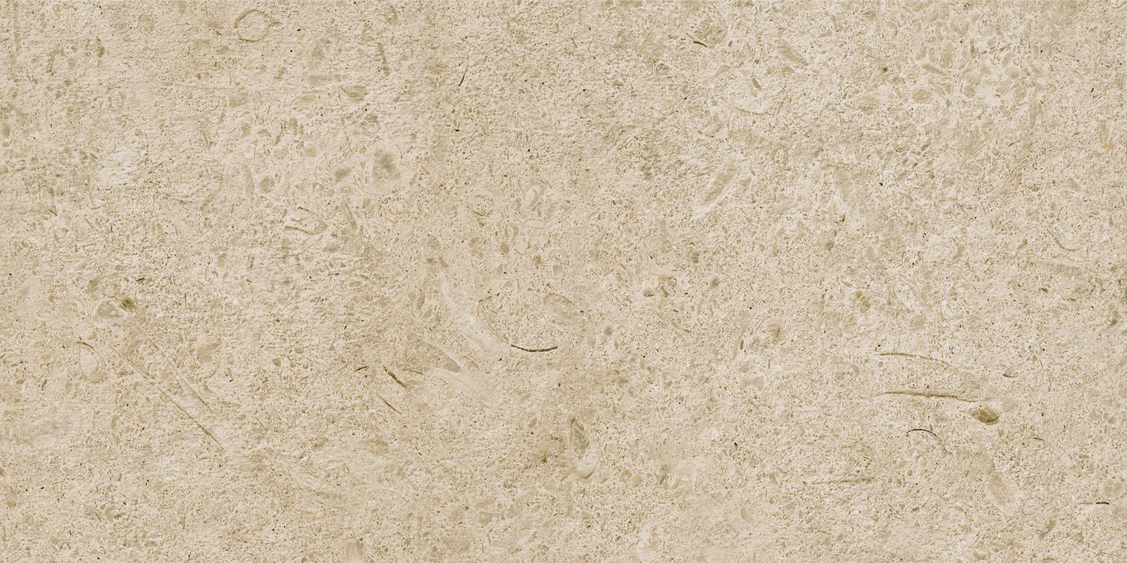Carácter – M97Q 60.00x60.00cm-main-image