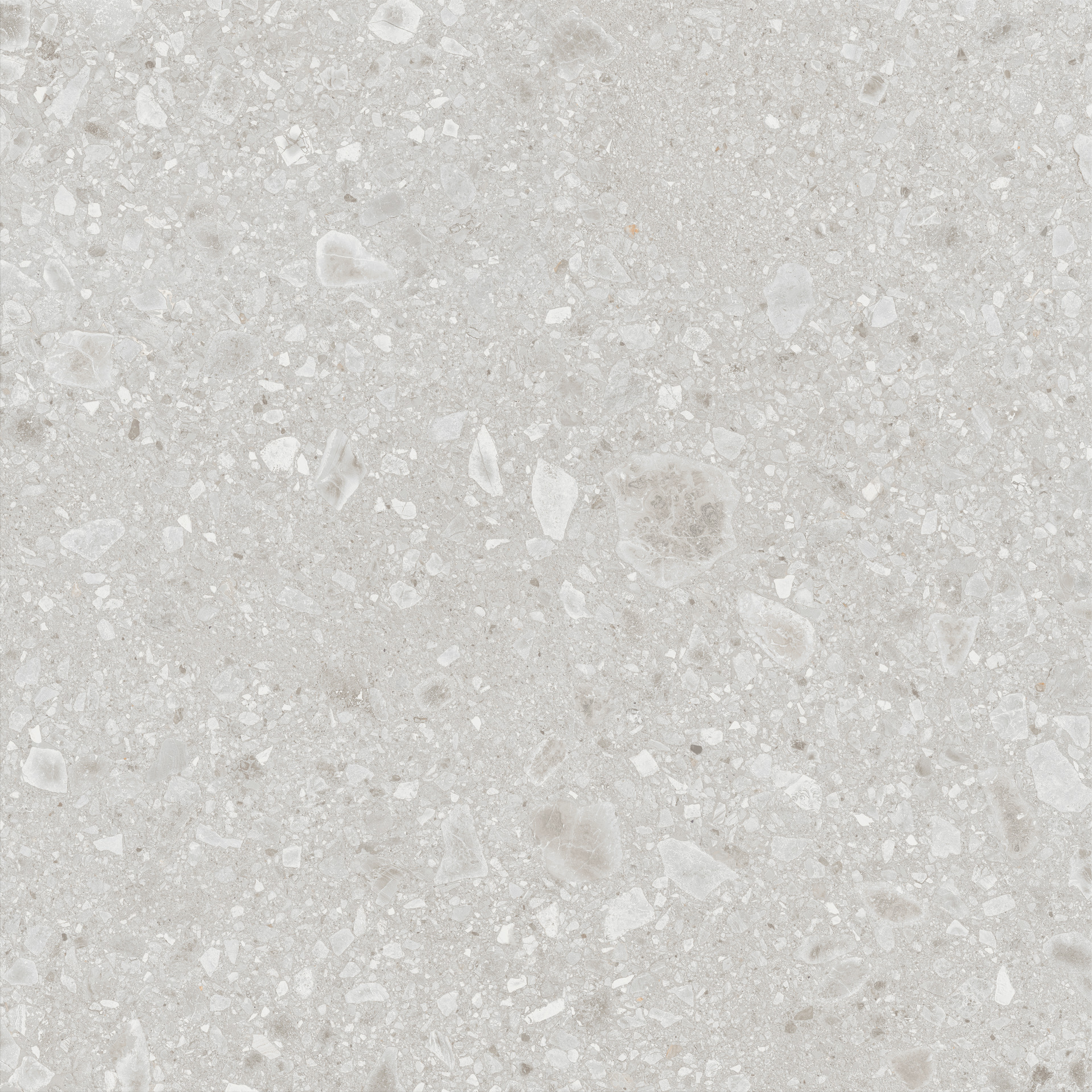 Ragno Realstone_Ceppo - Realstone_Ceppo – RCWM 120.00x120.00cm-main-image