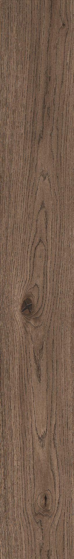 Vivo – MN97 180.00x22.50cm-main-image