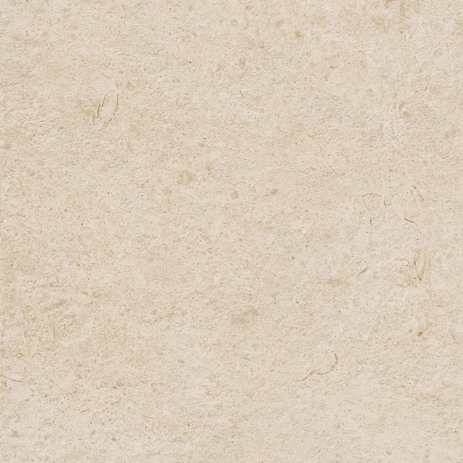 Carácter – M983 100.00x100.00cm-main-image