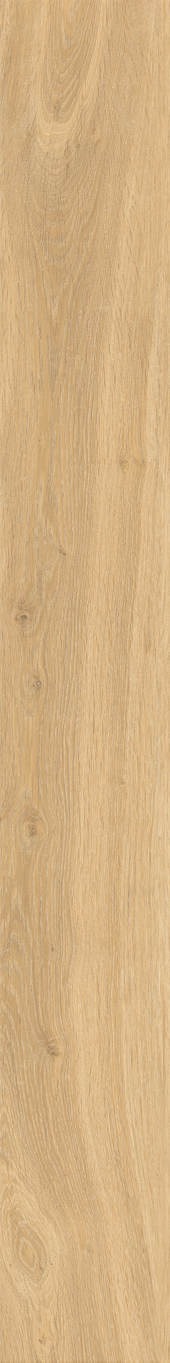 Oltre – M9DN 54.00x11.00cm-main-image