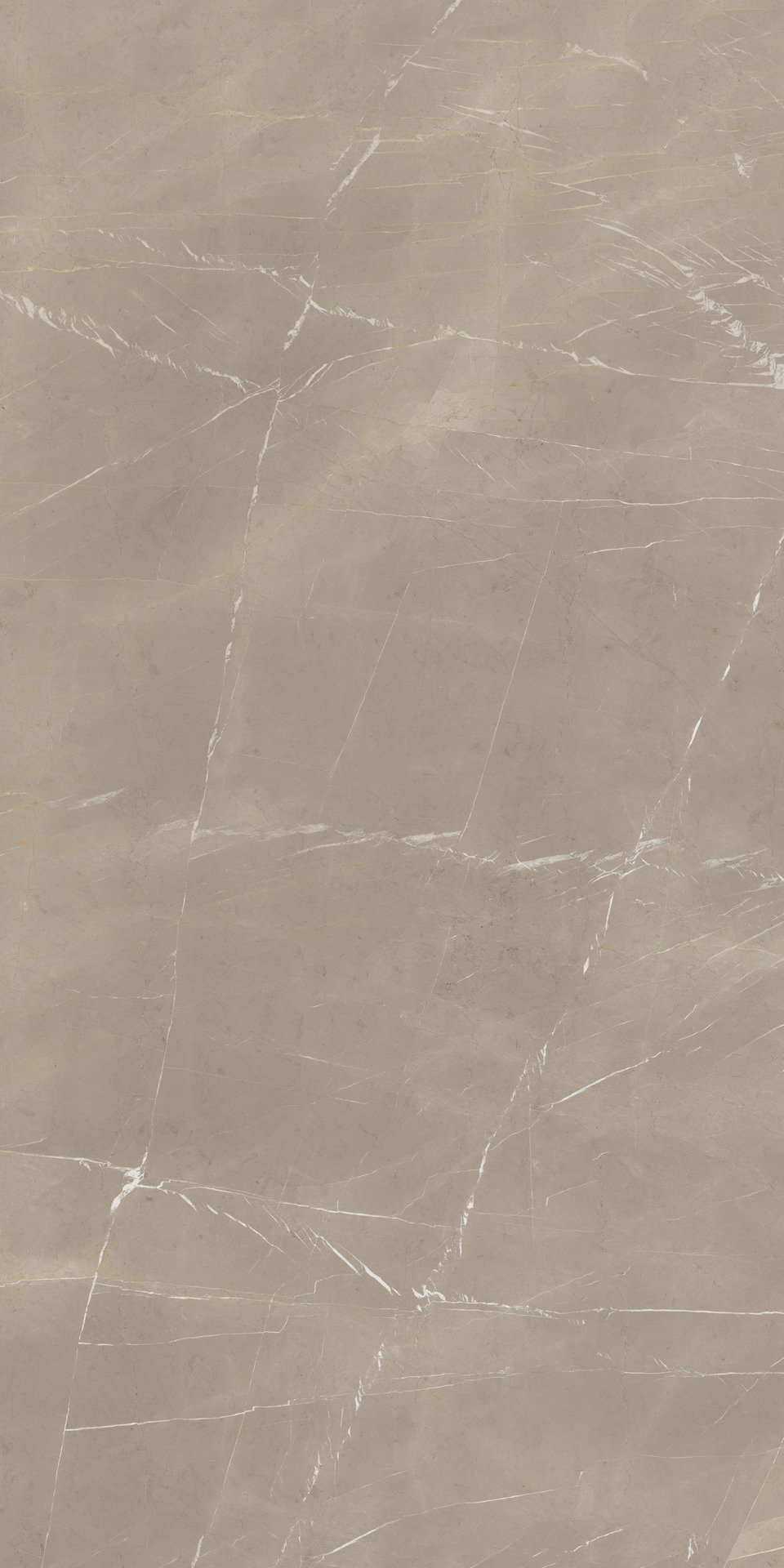 Grande Marble Look – MEQ7 320.00x160.00cm-main-image