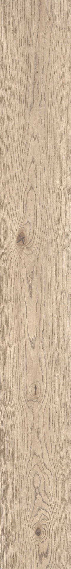 Vivo – MMD5 54.00x11.00cm-main-image