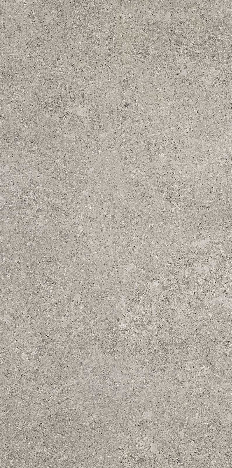 Mystone Gris Fleury – MLNZ 120.00x60.00cm-main-image