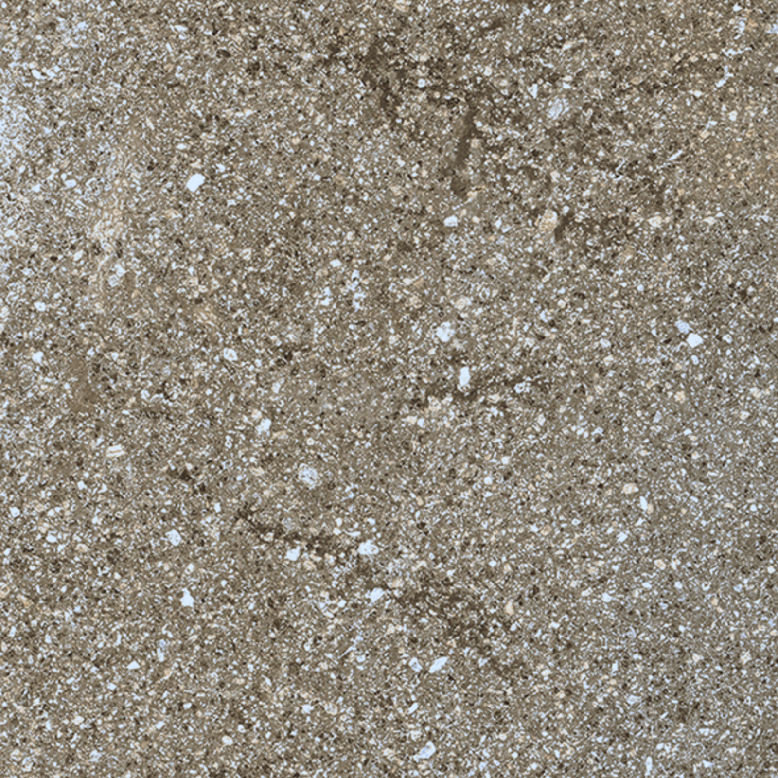 Ragno Stoneway_Porfido - Stoneway_Porfido – R47R 30.00x30.00cm-main-image