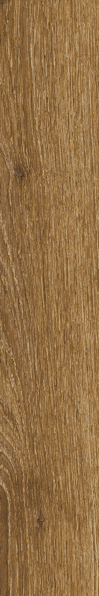 Ragno Ossimori  - Ossimori – R9TJ 120.00x20.00cm-main-image