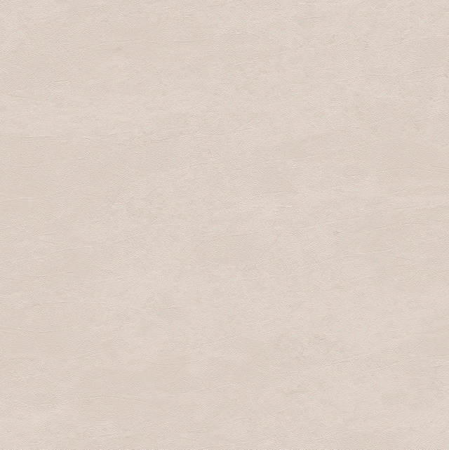 Radici Beige 120.00x60.00cm-main-image