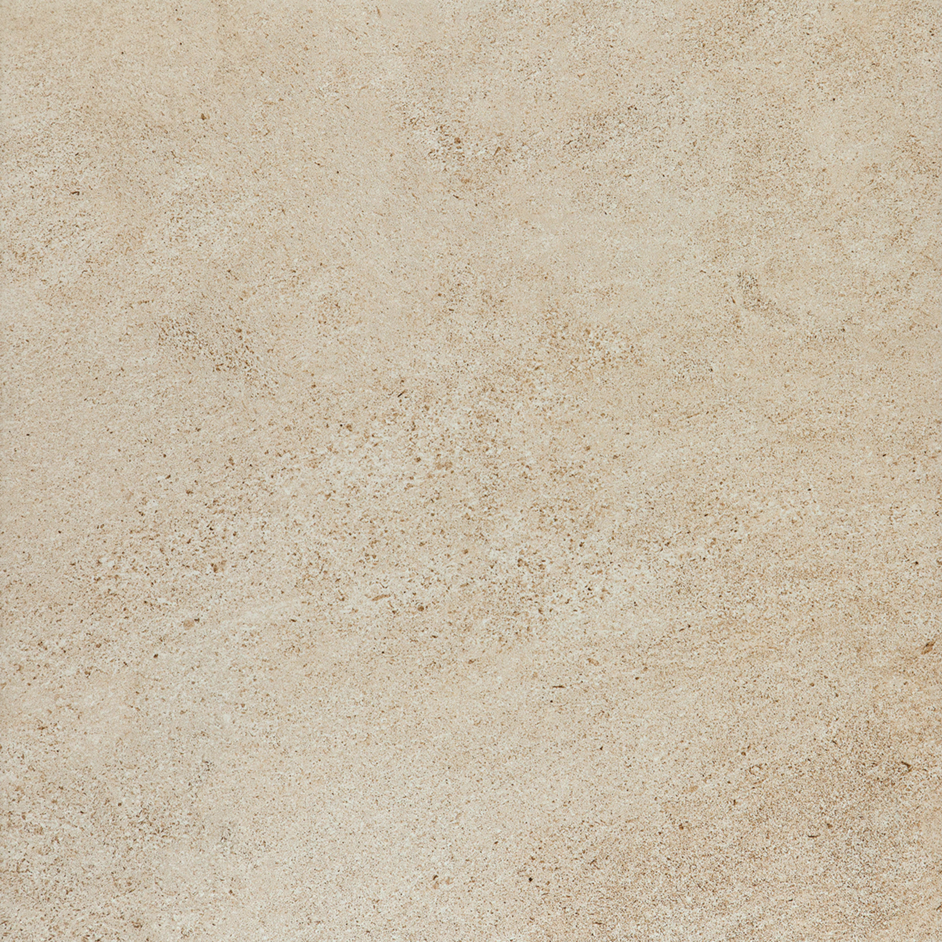 Ragno Season  - Season – R3SA 60.00x60.00cm-main-image