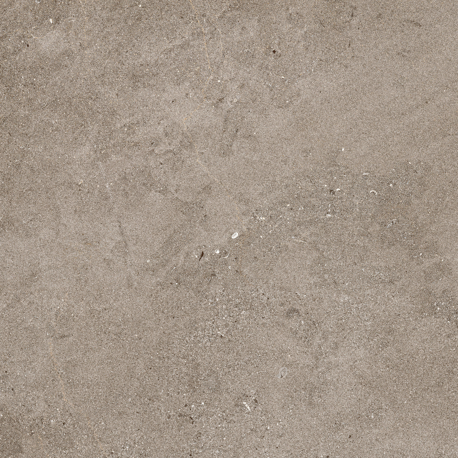 Naturalia – MF71 120.00x60.00cm-main-image
