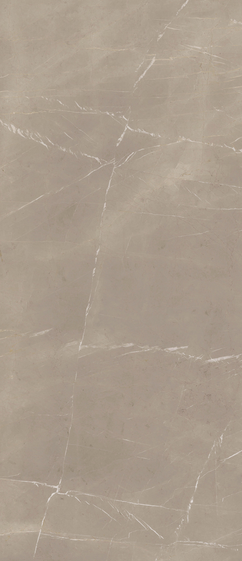 Grande Marble Look – MEPC 240.00x120.00cm-main-image