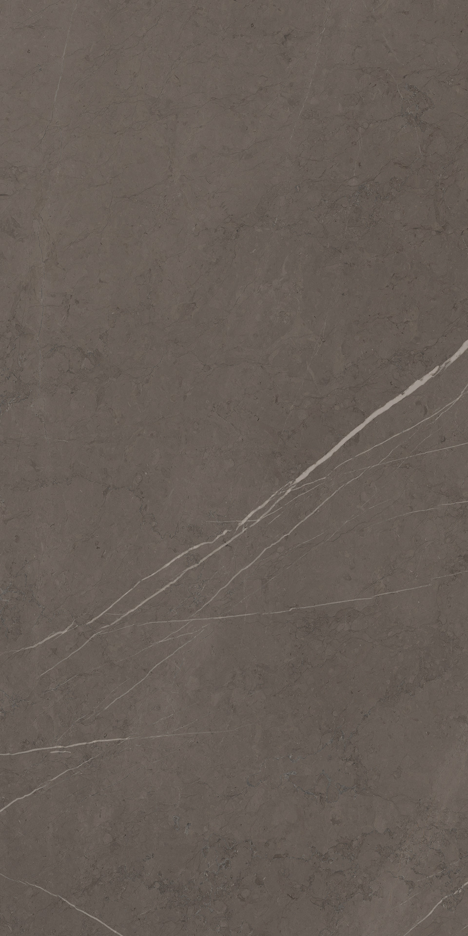 Ragno Incanto - Incanto – R8TM 120.00x60.00cm-main-image