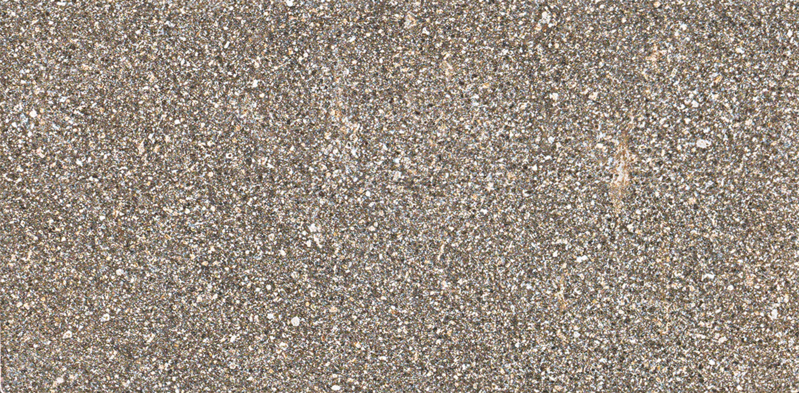 Ragno Stoneway_Porfido - Stoneway_Porfido – R47W 30.00x30.00cm-main-image