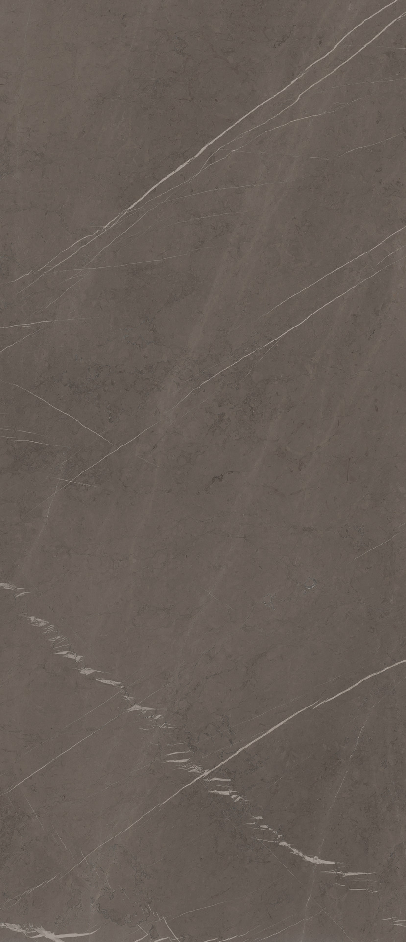 Ragno Incanto - Incanto – R8SZ 278.00x120.00cm-main-image