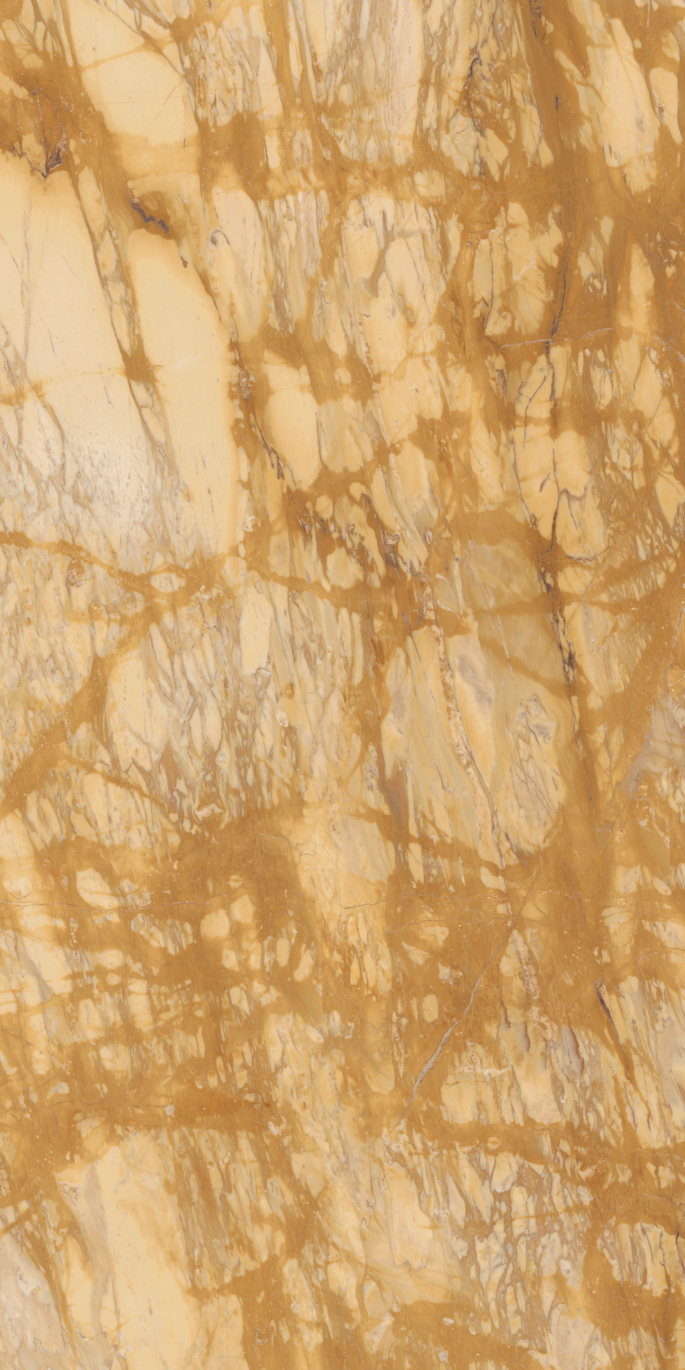 Grande Marble Look – MEQC 120.00x60.00cm-main-image